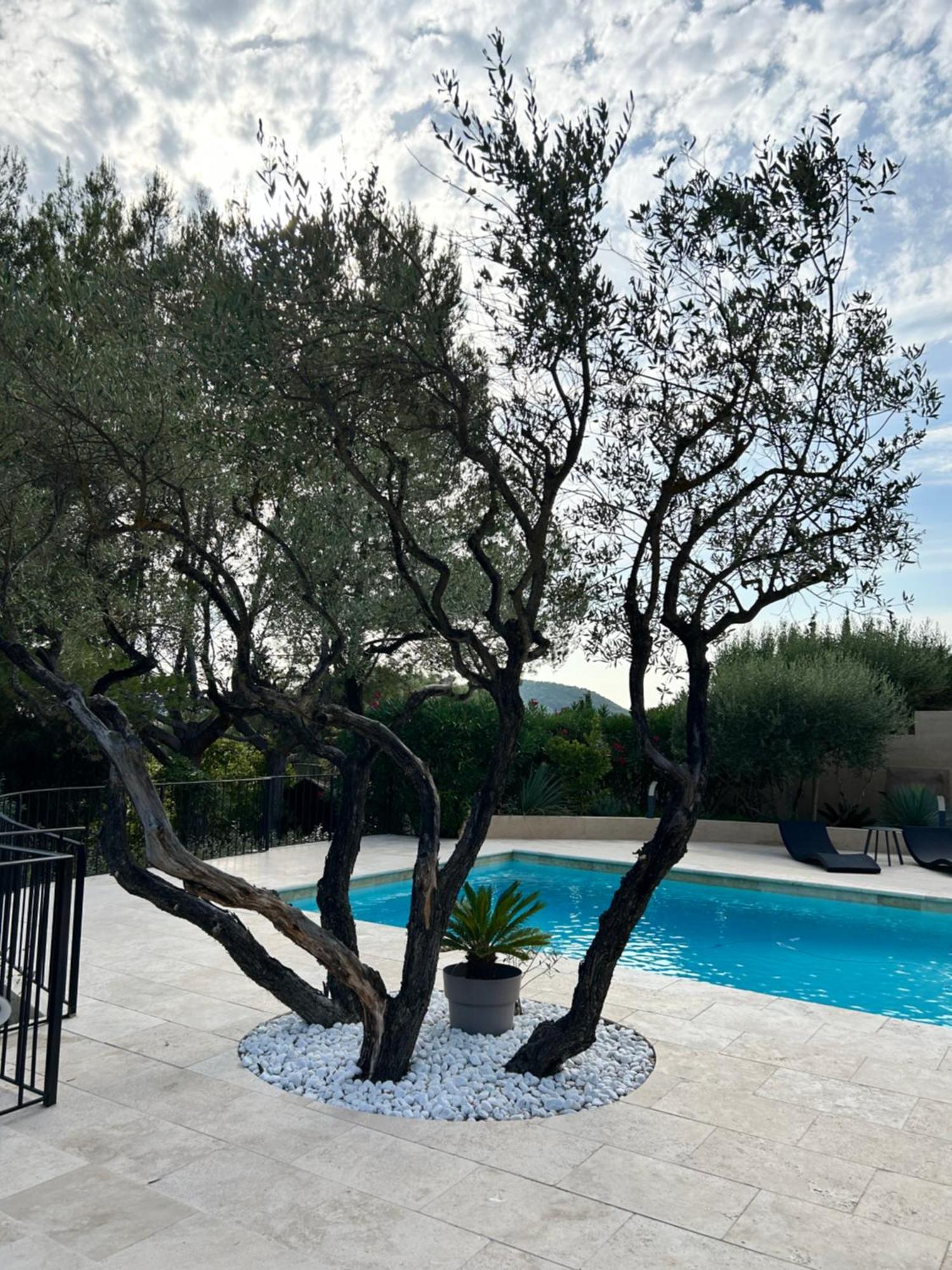 Villa De Charme En Campagne Avec Piscine Privee Et Nature Luxuriante Le Beausset Exterior photo